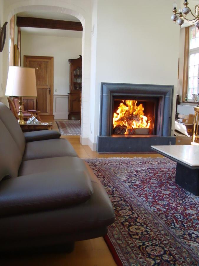 B&B Chateau Bagatelle Frasnes-lez-Anvaing Экстерьер фото