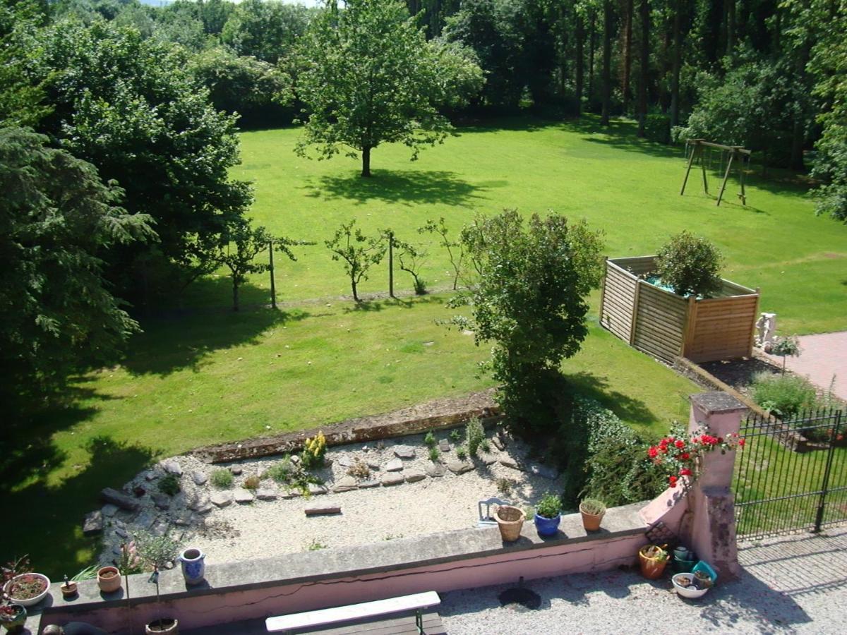 B&B Chateau Bagatelle Frasnes-lez-Anvaing Экстерьер фото
